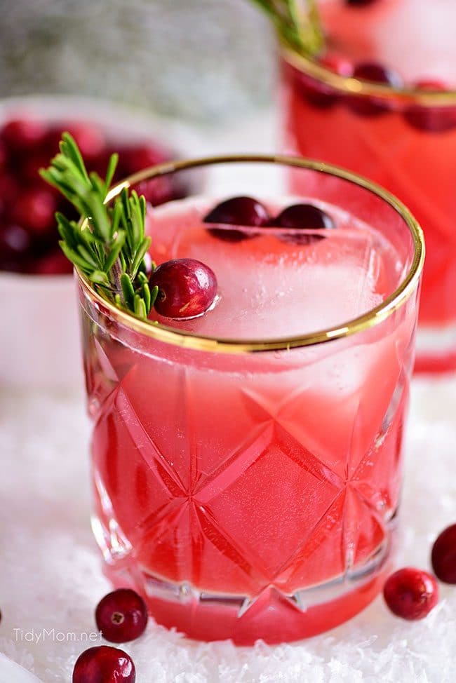 Rudolph’s Tipsy Spritzer - Festive Christmas drinks for party 
