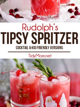 RUDOLPH’S TIPSY SPRITZER photo collage