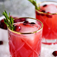 close up of RUDOLPH’S TIPSY SPRITZER