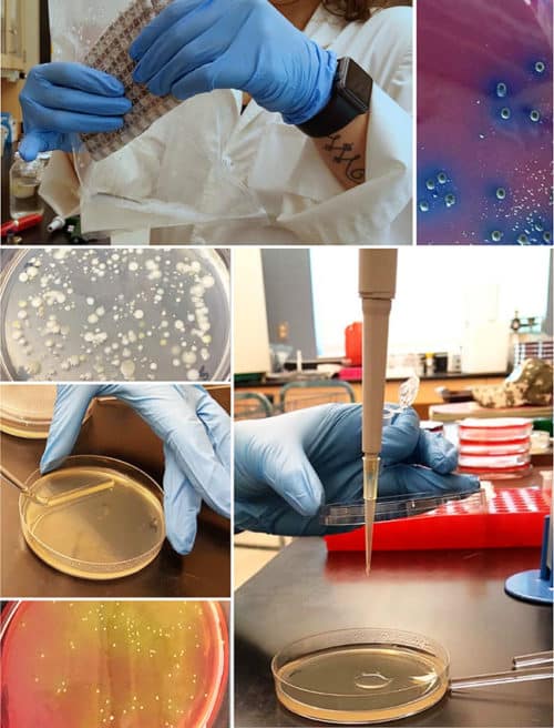 The Insiders Guide To Reducing Bacteria In The Kitchen TidyMom®