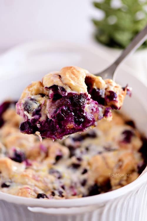 Blueberry breakfast casserole with cinnamon rolls video tidymom 