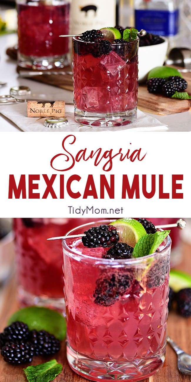 Sangria Mexican Mule Cocktail Recipe | TidyMom®