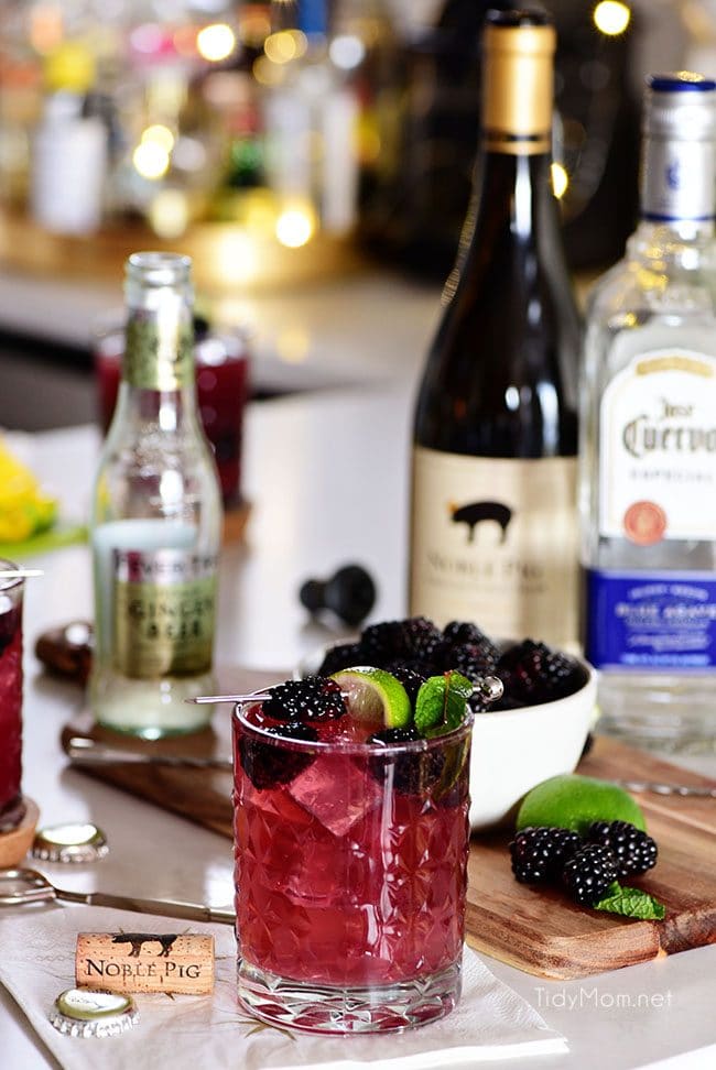 Sangria Mexican Mule cocktail with blackberry garnish, wine, tequila and ginger beer