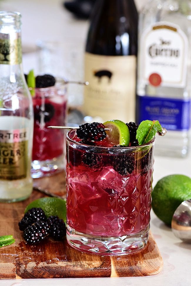 Sangria Mexican Mule cocktail in glass with blackberry garnish, wine, tequila and ginger beer