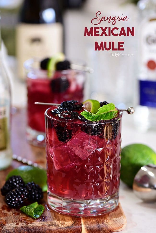 Sangria Mexican Mule cocktail in glass with blackberries