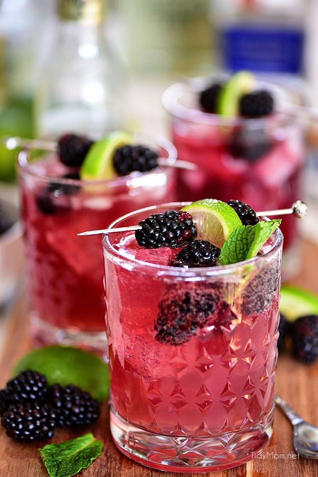 3 glasses of Sangria Mexican Mule cocktail with blackberry garnish