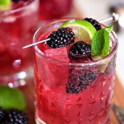 Sangria Mexican Mule Cocktail Recipe