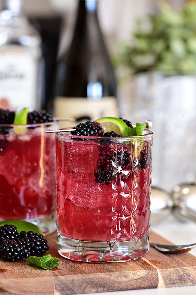 Sangria Mexican Mule cocktail in glass with blackberries and wine