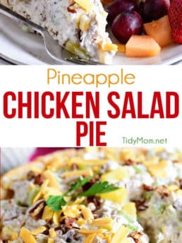Pineapple Chicken Salad Pie photo collage