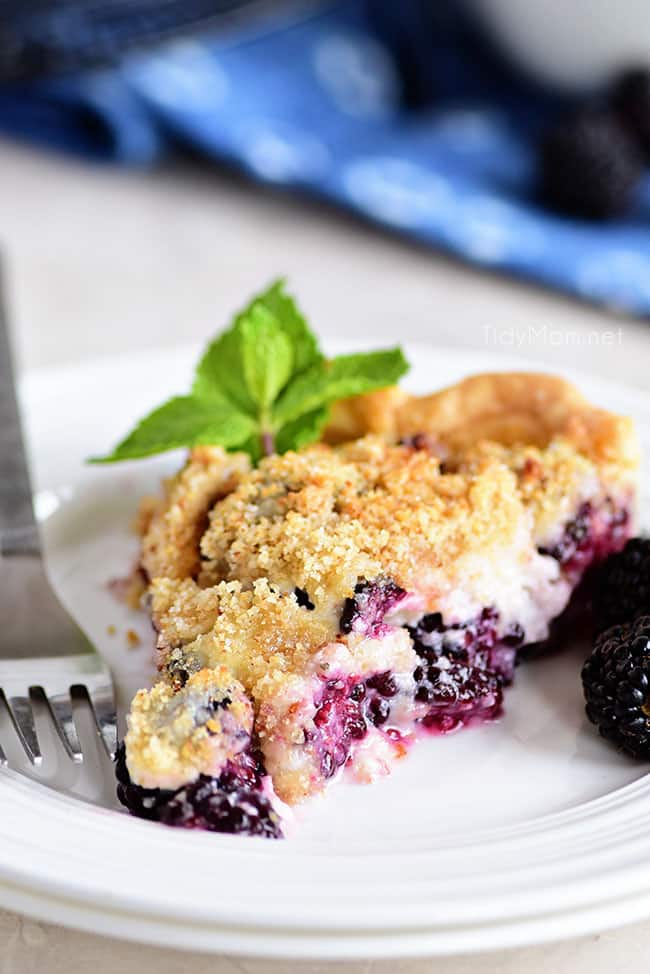 Ready to eat piece of Blackberry Sour Cream Pie with sweet juicy blackberries and a crumble topping and a fork