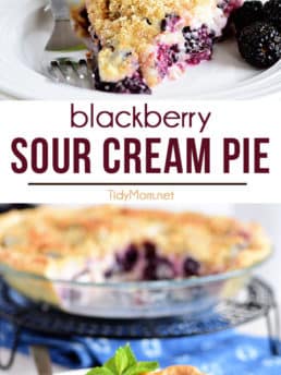 Blackberry Sour Cream Pie photo collage