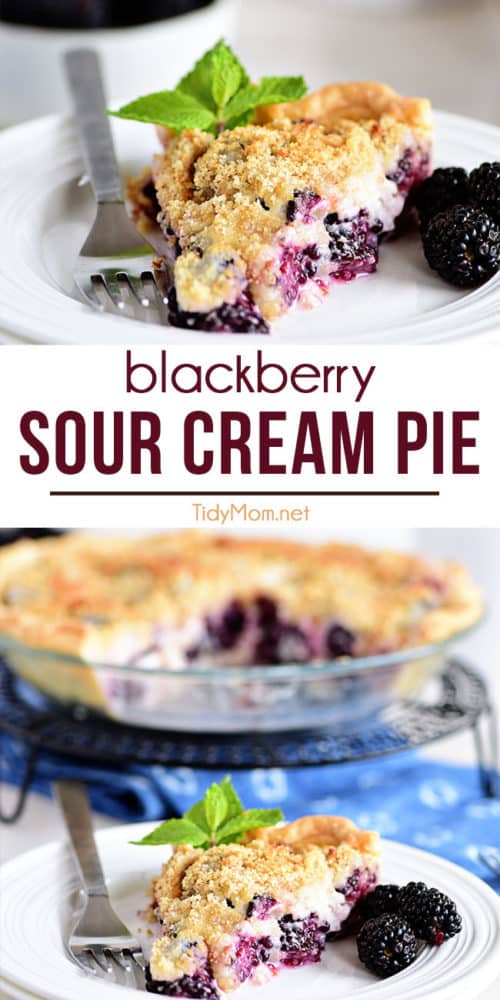  Blackberry Sour Cream Pie photo collage