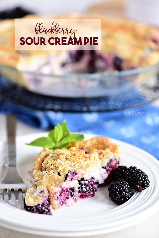 Blackberry Sour Cream Pie with sweet juicy blackberries and a crumble topping on a plate