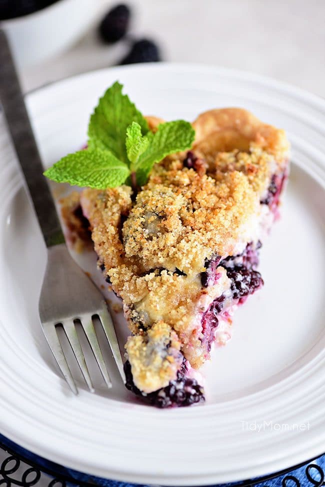 A piece of Blackberry Sour Cream Pie with sweet juicy blackberries and a crumble topping