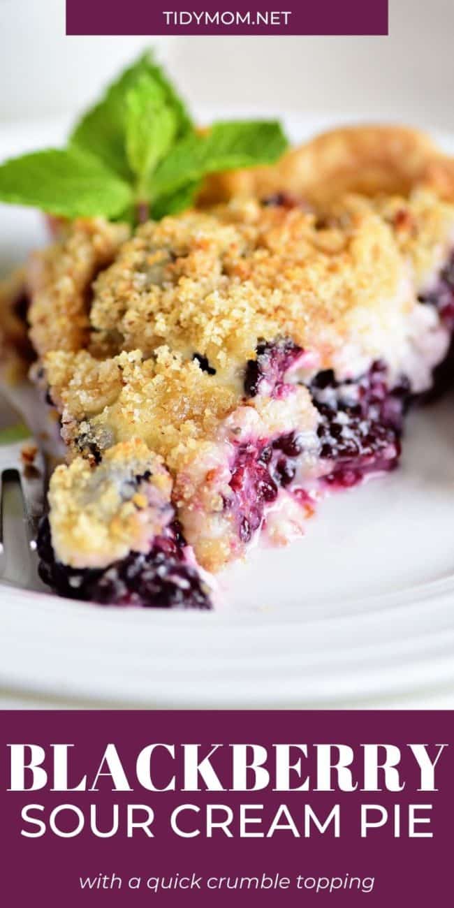 slice of blackberry pie with fresh mint garnish