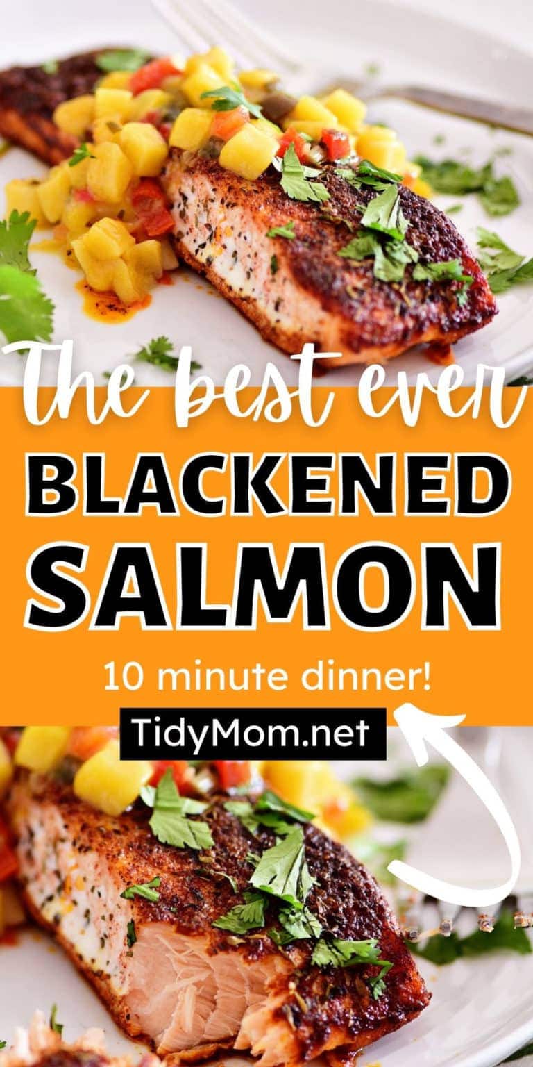 Blackened Salmon Fillets On The Grill - TidyMom®