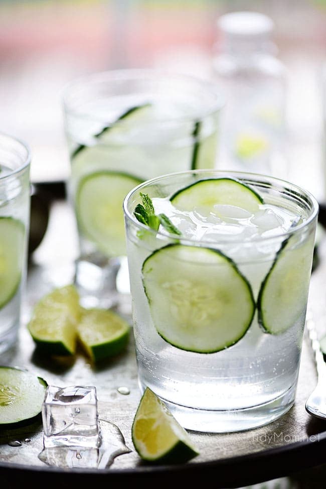 Sparkling Cucumber Gimlet - TidyMom®