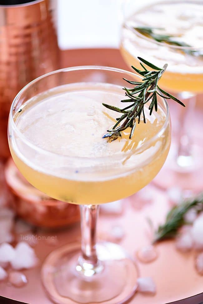 Smoked Rosemary Bourbon Sour Cocktail Tidymom