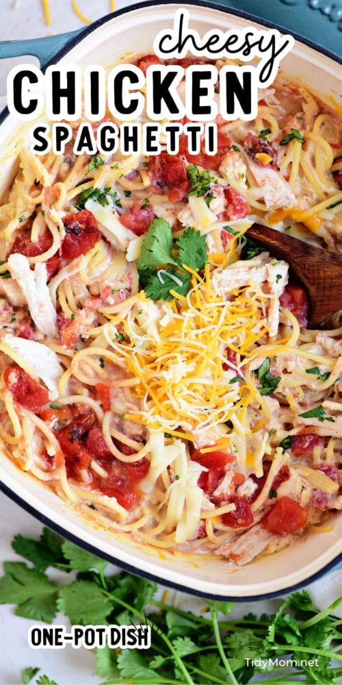 Cheesy One Pot Chicken Spaghetti - TidyMom®