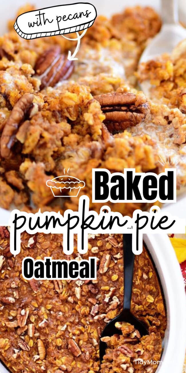 fresh baked pumpkin pie oatmeal in a white baking dish