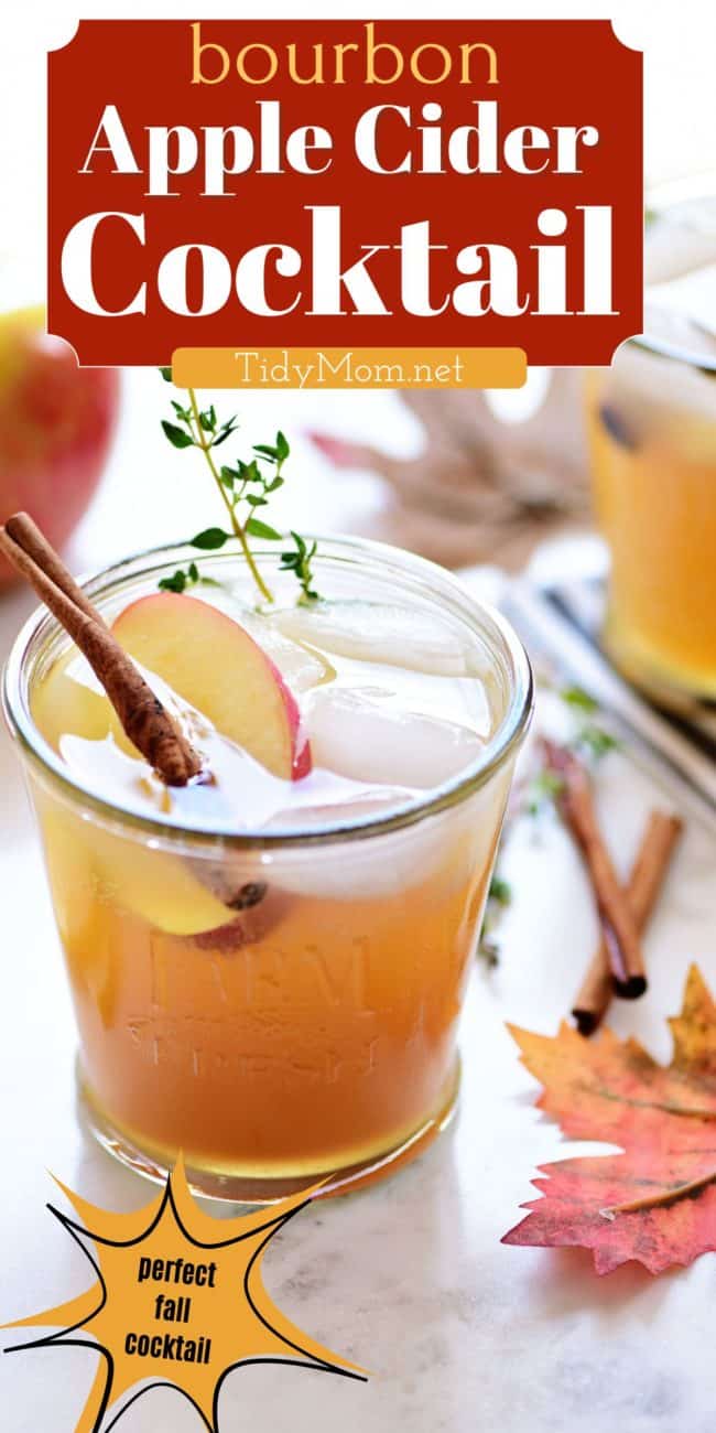 Apple Cider Cocktail with a cinnamon stick and apple slices in a glass