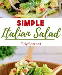 restaurant style Italian Salad photo collage