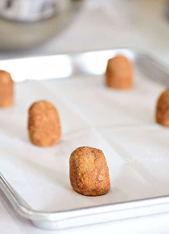 Pumpkin Snickerdoodles ready for the oven