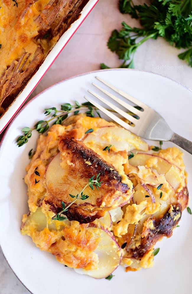 Potatoes au gratin on a white plate with a fork