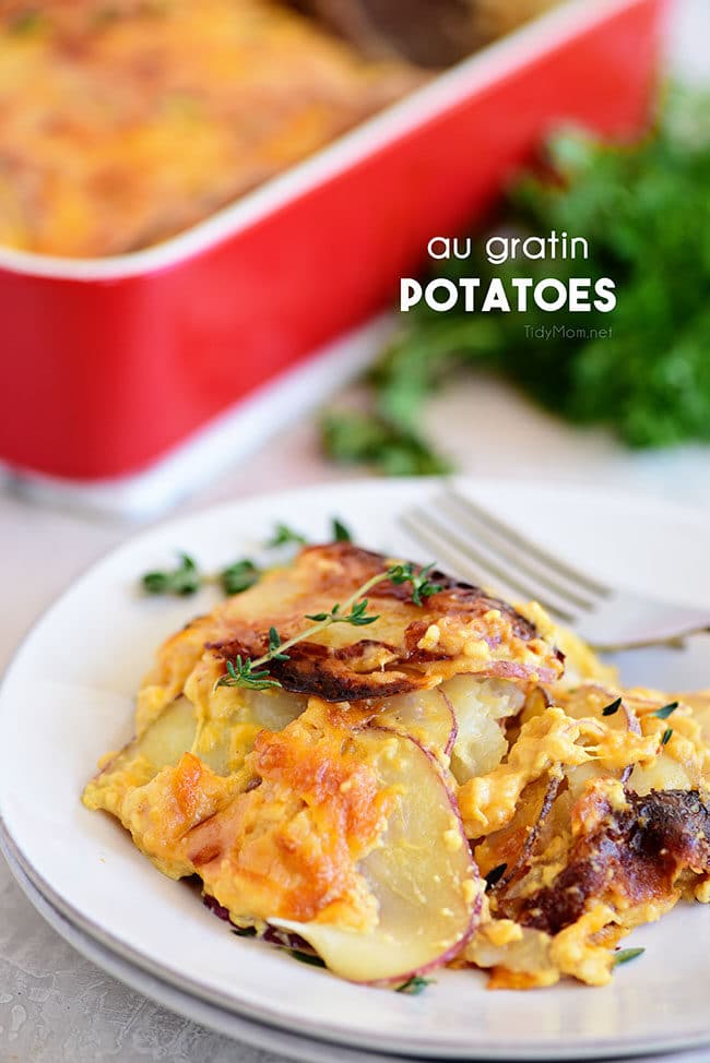Potatoes au gratin on a plate