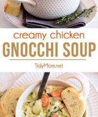 creamy chicken gnocchi soup photo collage