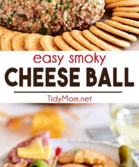 easy cheese ball photo collage