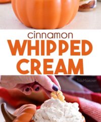 cinnamon whipped cream photo collage