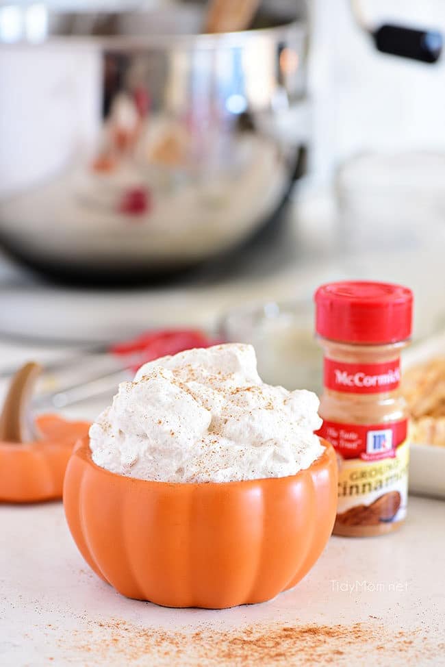 cinnamon whipped cream in a bowl 