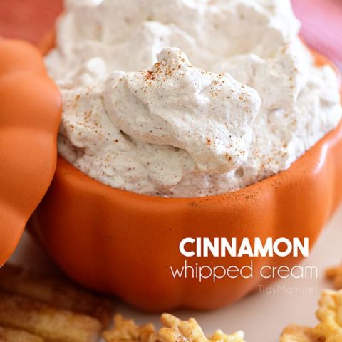 cinnamon whipped cream in orange bowl