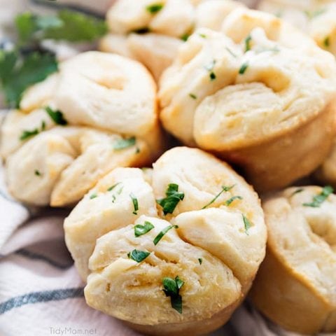 Easy Pull-Apart Garlic Rolls