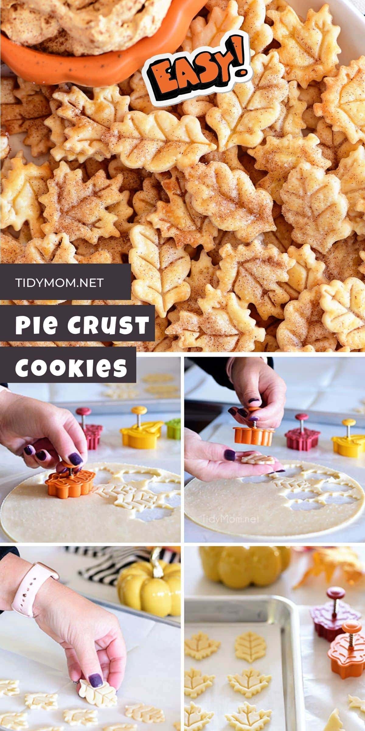 Pie Crust Cookies Pin1 