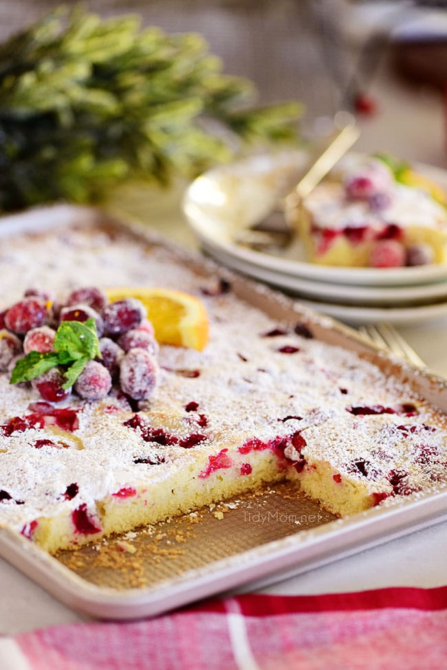 Cranberry Orange Cake {VIDEO} TidyMom®