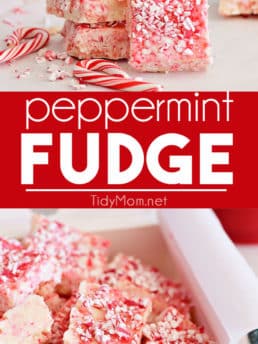 Peppermint Fudge photo collage