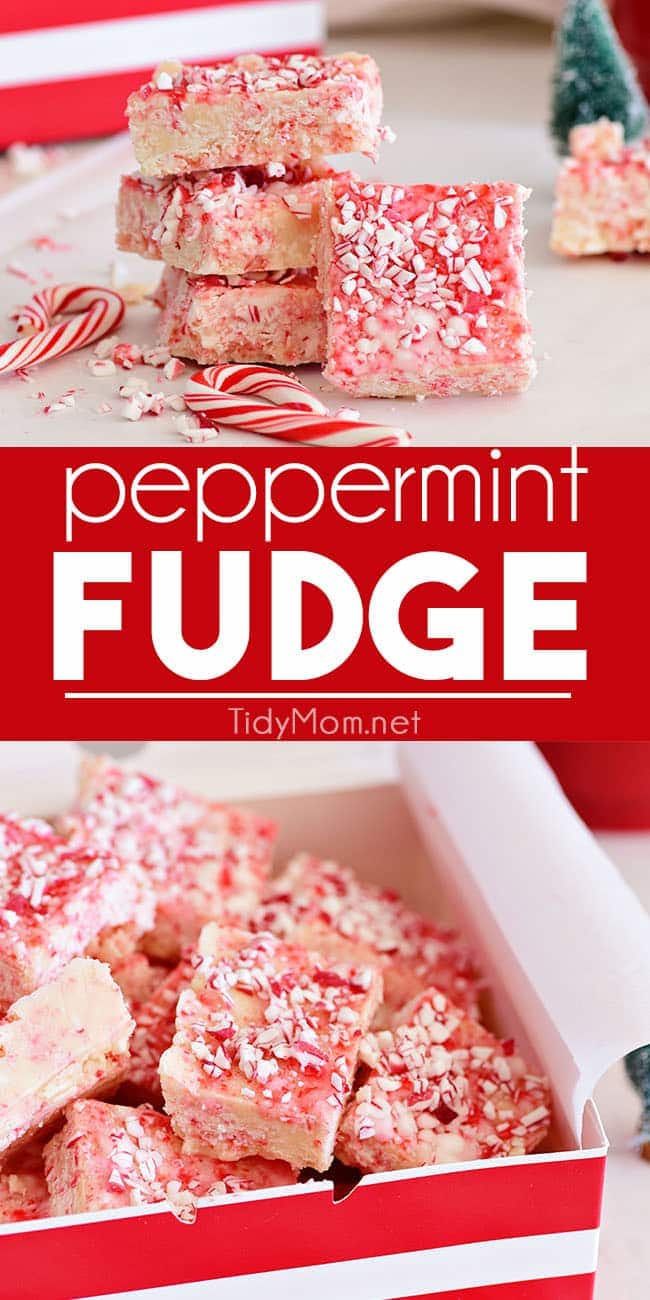 Easy Peppermint Fudge - TidyMom®