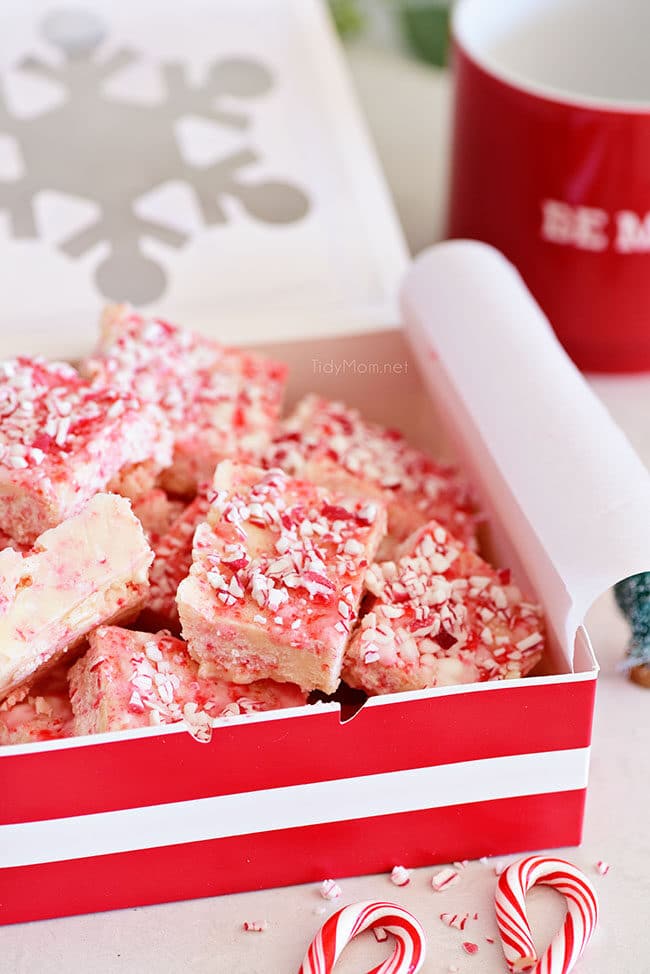 Peppermint Fudge gift boxed