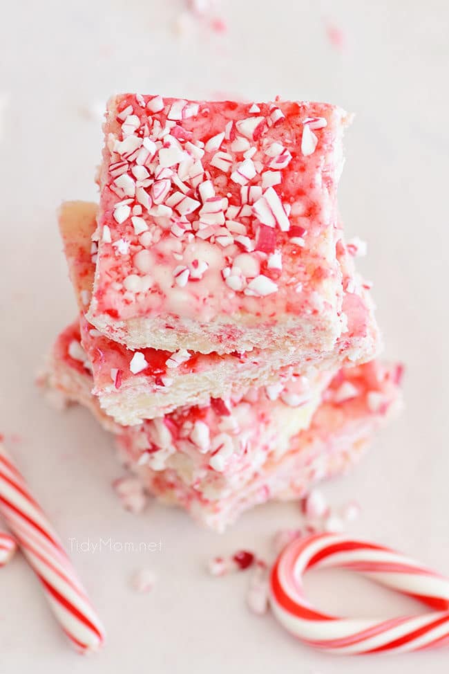 Peppermint Fudge with candy canes