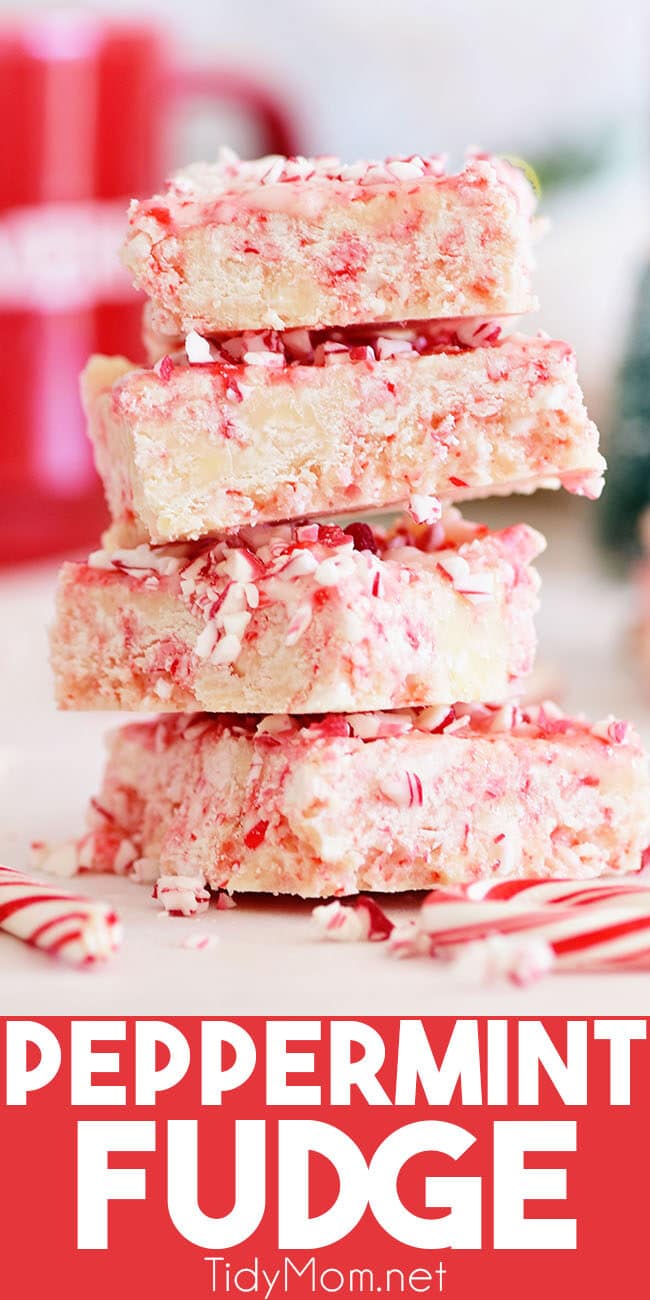 a stack of Peppermint Fudge pieces