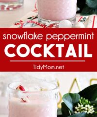 Snowflake Peppermint Cocktail photo collage