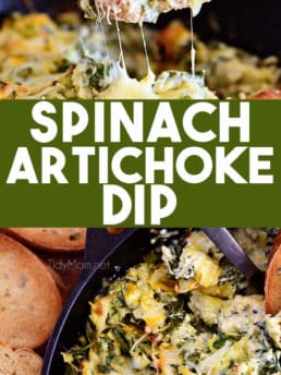 Spinach Artichoke Dip photo collage