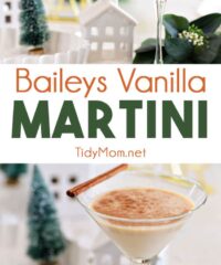 Baileys Vanilla Martini photo collage