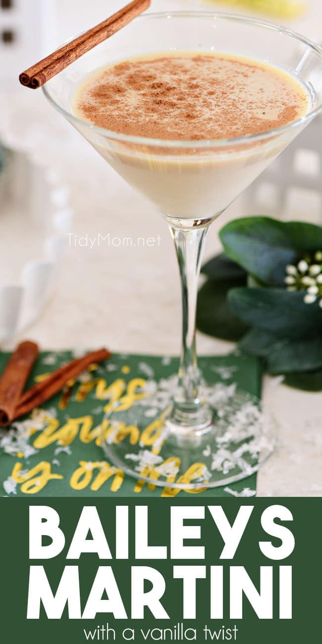 A Baileys Martini with a vanilla twist and a cinnamon stick