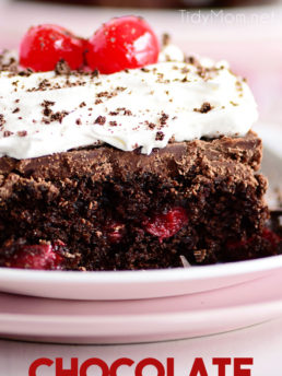chocolate cherry cake slice on a pink plate