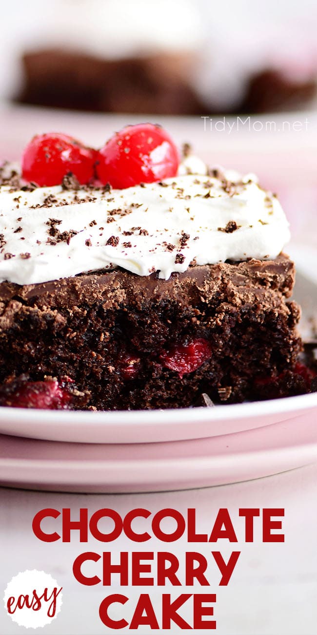 chocolate cherry cake slice on a pink plate