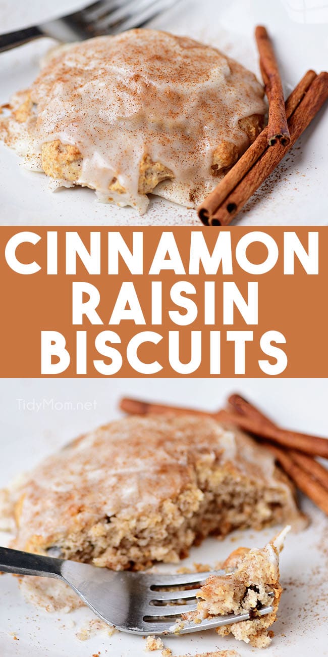 cinnamon raisin biscuit photo collage
