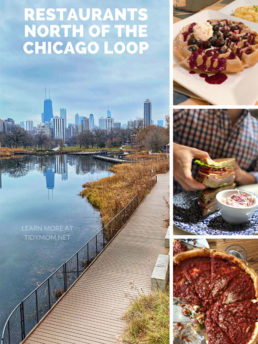 restaurants north of the Chicago loop photo collage